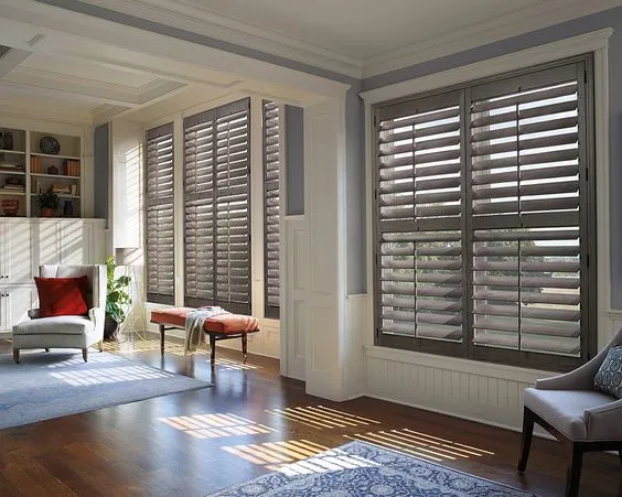 Home Decorators Collection Blinds Stylish Window Treatments