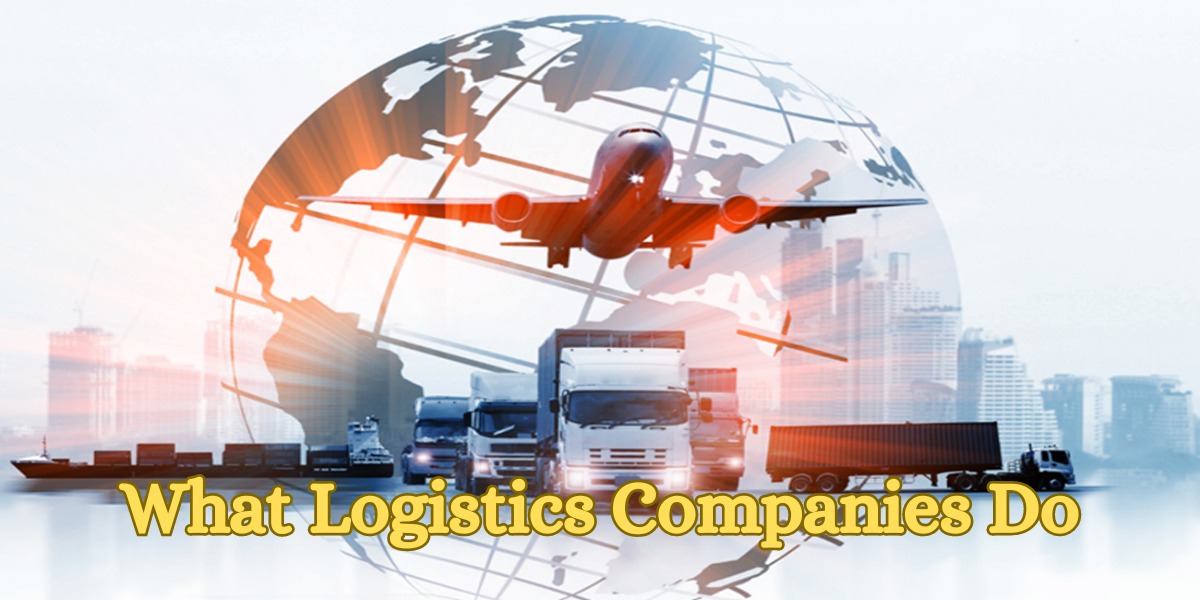What Logistics Companies Do