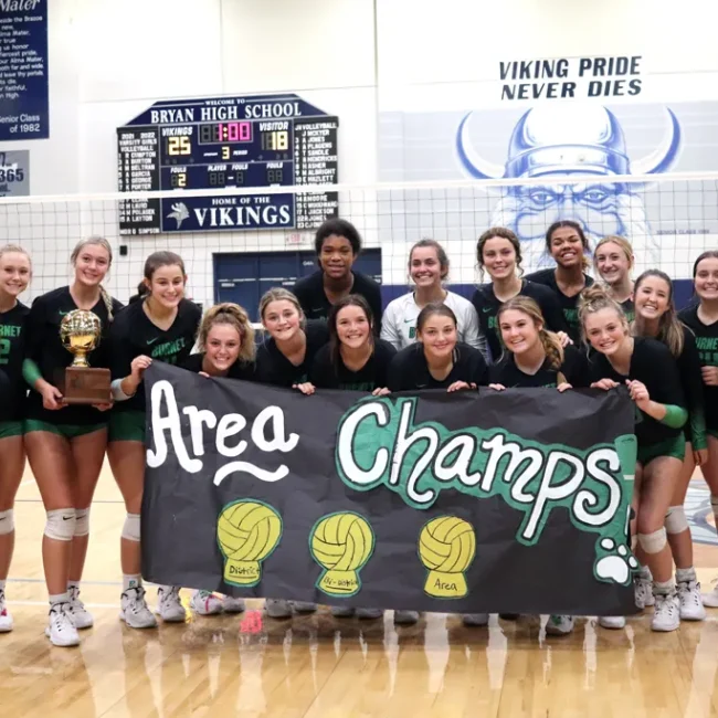 2018 Daily Local News All-Area Girls Volleyball Team : Meet the Champions