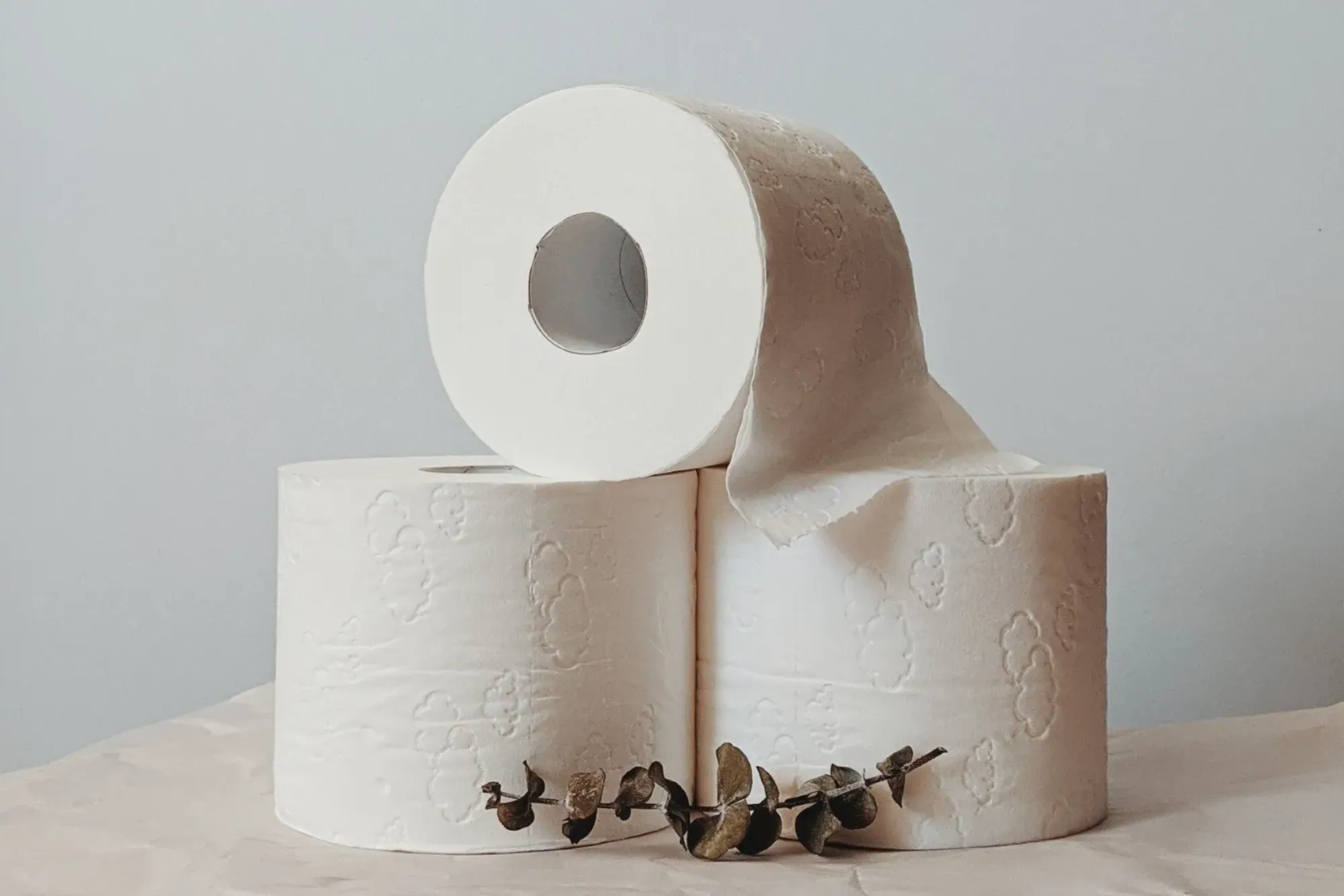 Where to Buy Eco-Friendly and Plastic-Free Toilet Paper