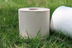 Where to Find Eco-Friendly and Plastic-Free Toilet Paper