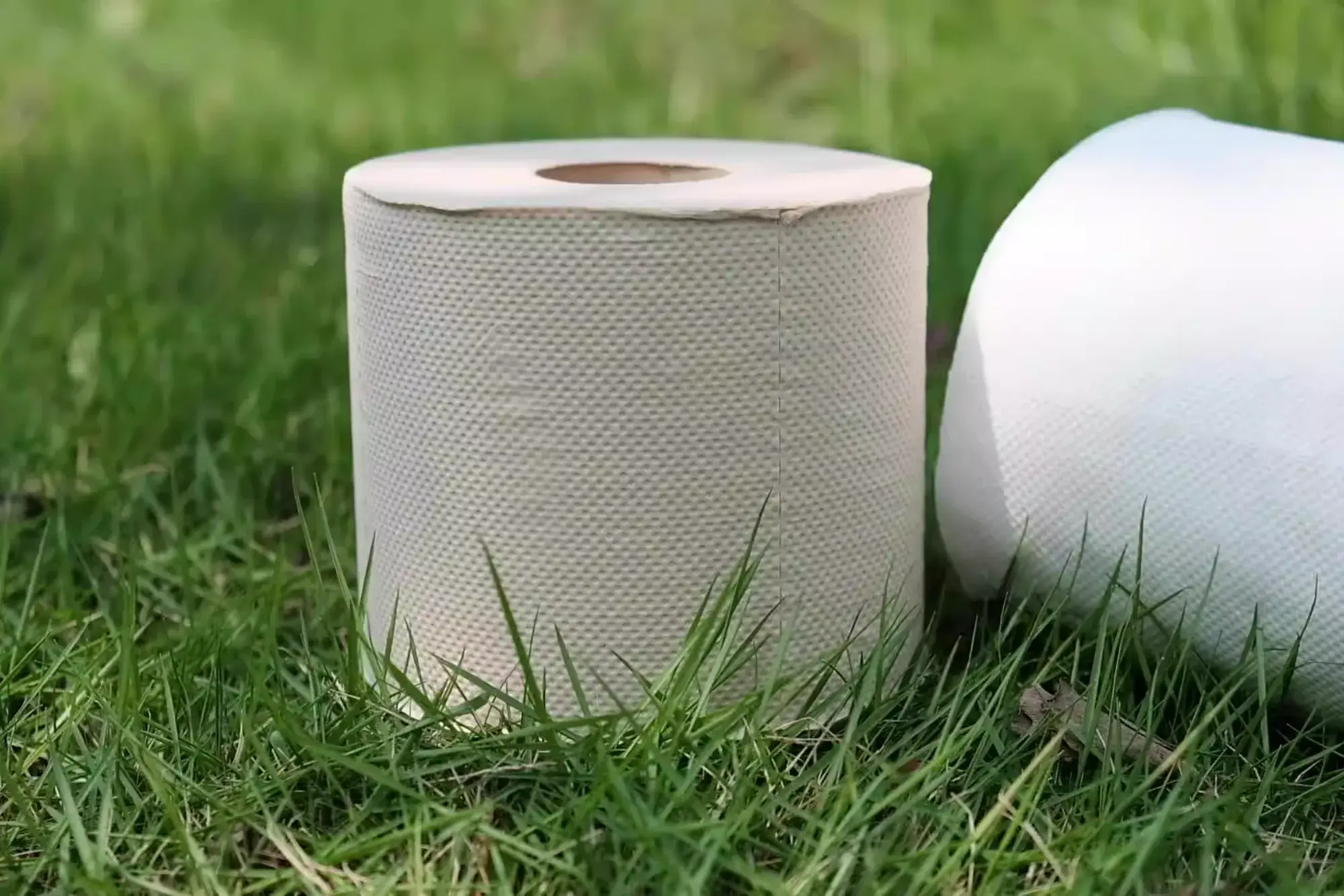 Where to Find Eco-Friendly and Plastic-Free Toilet Paper