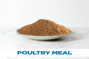 Nutritional Analysis of Poultry Feed