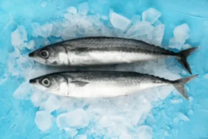 Latest Trends in Seafood by United Fish Dubai