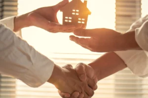 How to Find Plexes for Sale in Spain